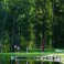 Players on the 17th Hole
