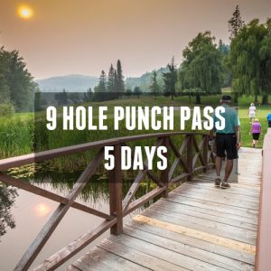 9-hole golf punch pass