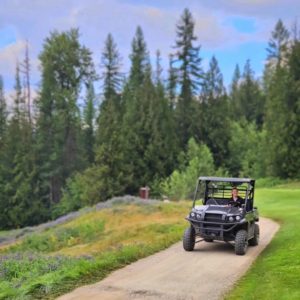 gas powered golf cart storage