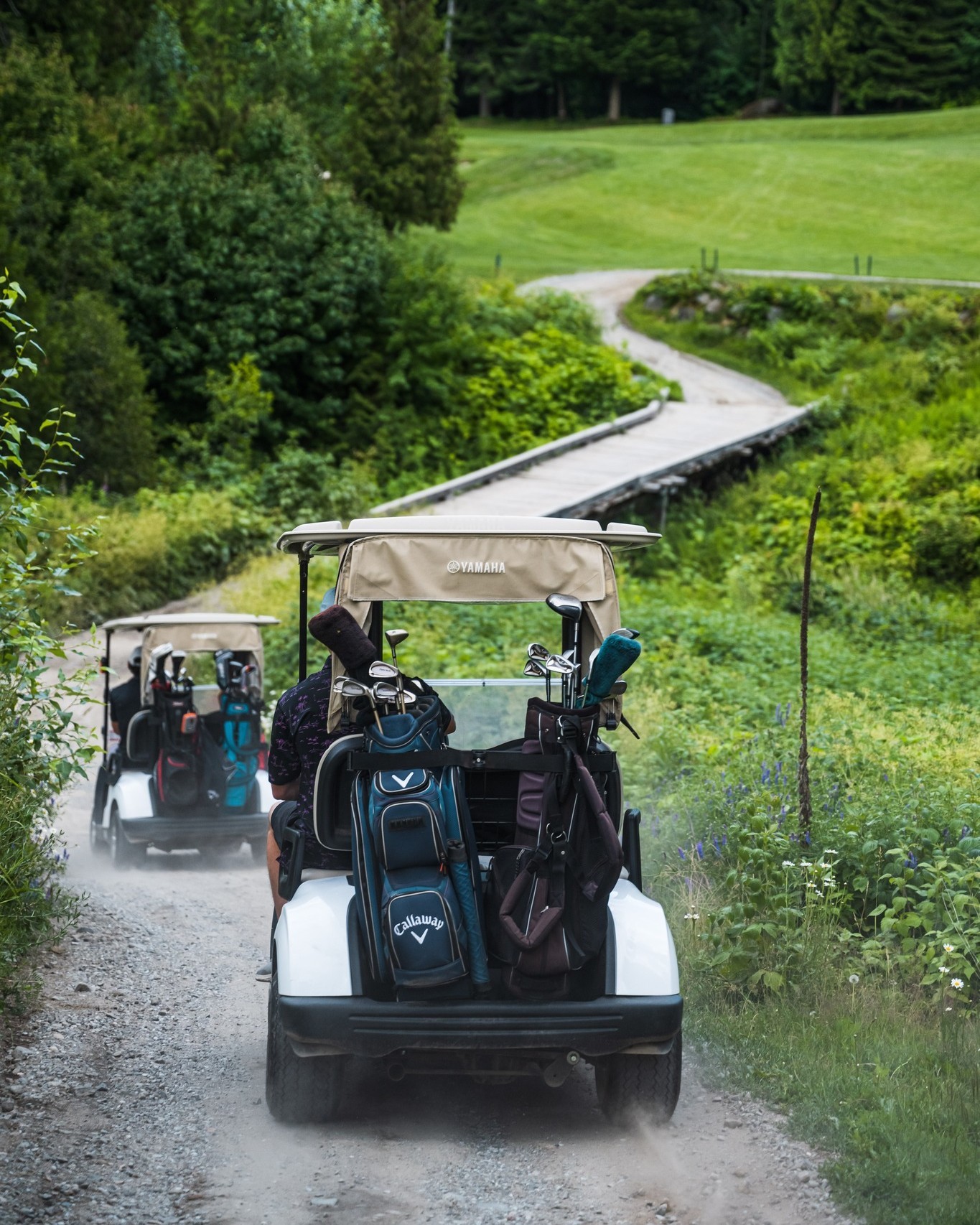 golf cart rental